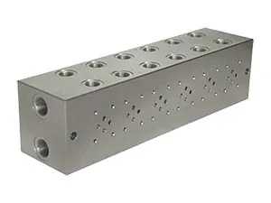 NG10 Standard Flow Parallel Circuit Manifold