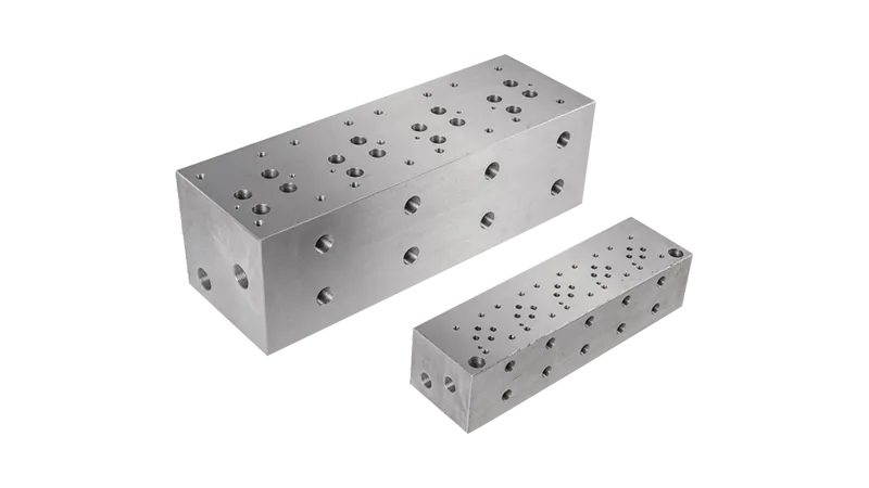 NG10 Standard Flow Parallel Circuit Manifold